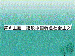 中考历史总复习第一部分主题探究第6主题建设中国特色社会主义课件