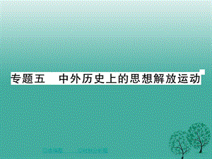 中考历史总复习第二部分专题突破专题五中外历史上的思想解放运动课件