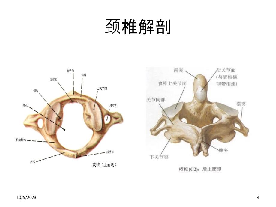 颈椎关节松动术PPT课件_第4页