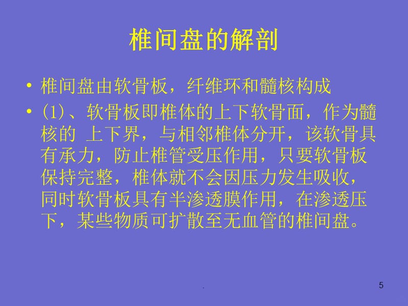 腰椎椎弓根钉内固定 椎间融合PPT课件_第5页