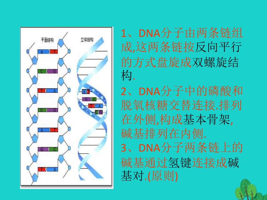 2017高中生物 DNA和蛋白质技术 5.1 DNA的粗提取与鉴定课件1 新人教版选修1_第2页
