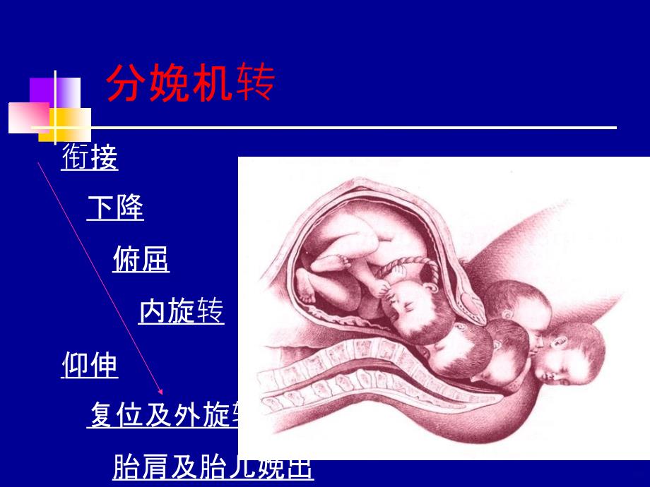 产科课程演示正常分娩PPT课件_第3页