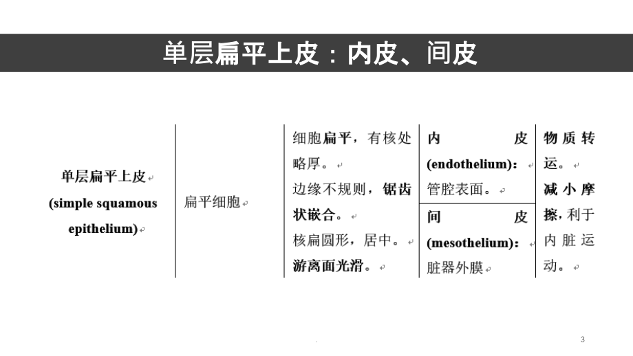 组胚四大基本组织标本PPT课件_第3页