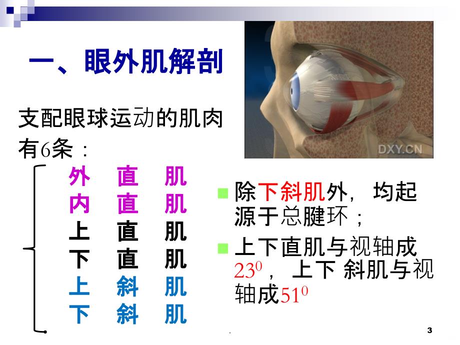 眼外肌解剖 斜视分类PPT课件_第3页