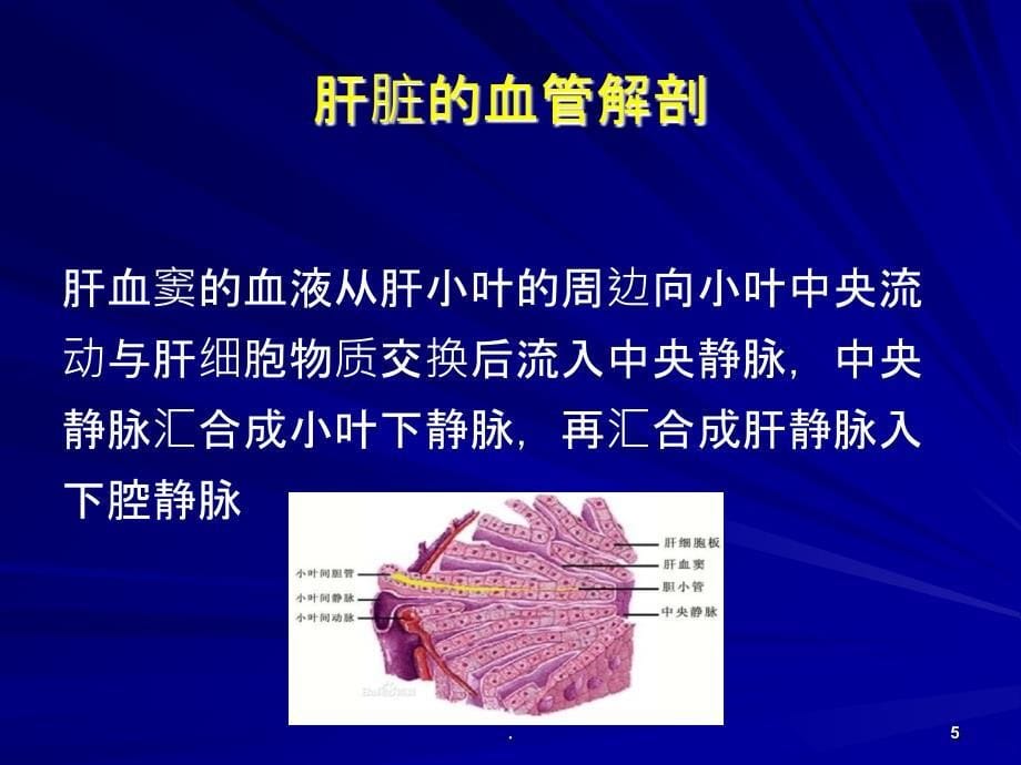 门脉CTVPPT课件_第5页