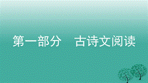 中考语文总复习第一部分古诗文阅读（二）桃花源记课件