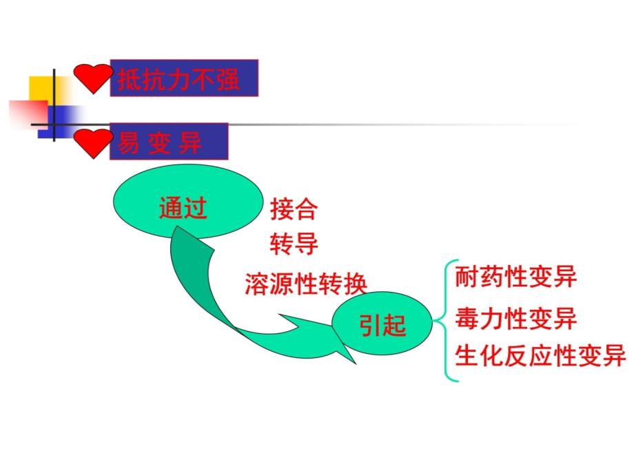 肠道杆菌1知识课件_第4页