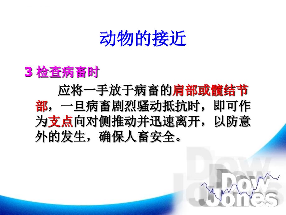 动物的接近与保定课件_第4页