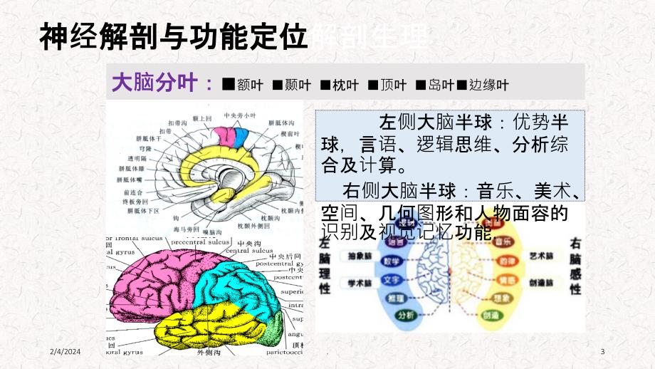 脑血管疾病定位诊断PPT课件_第3页