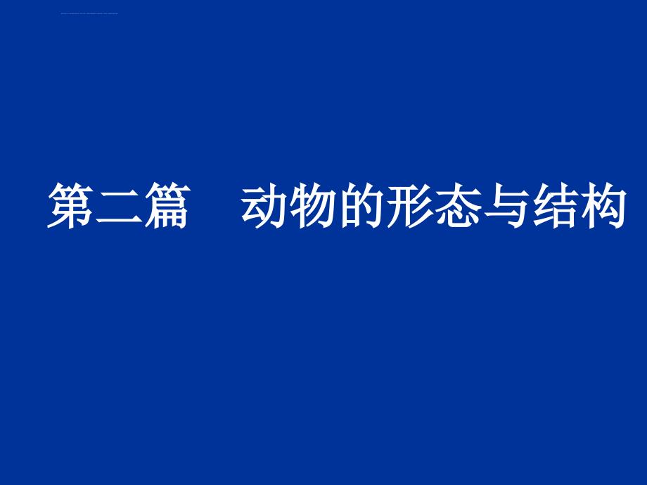 动物的形态与功能课件_第1页