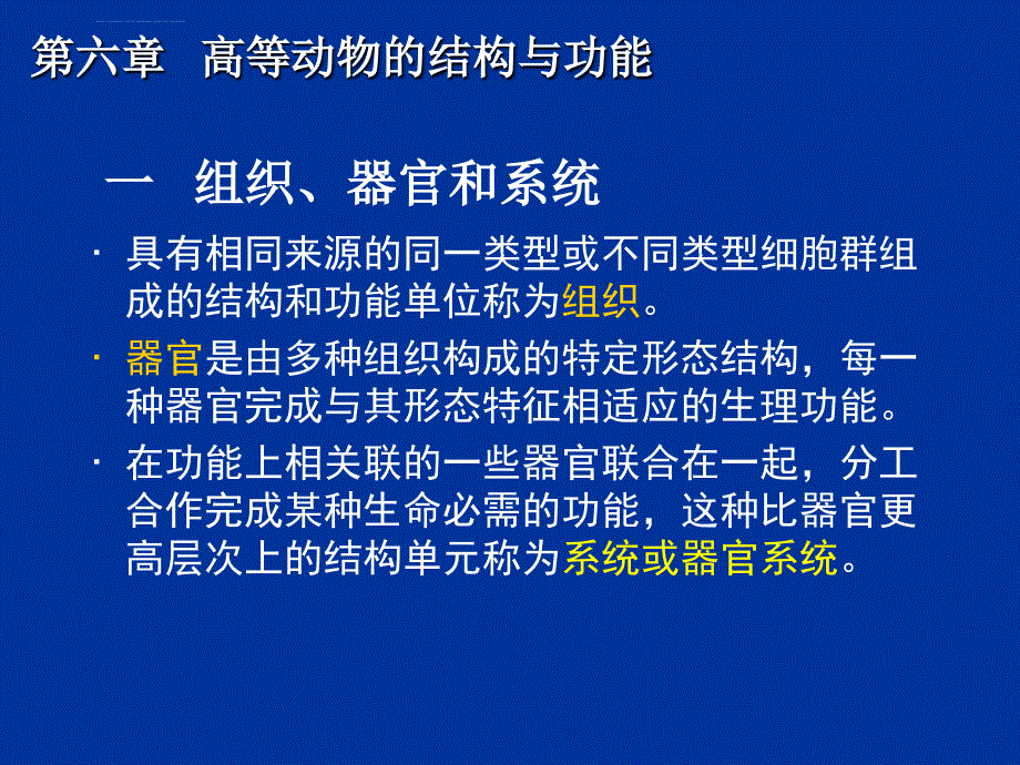 动物的形态与功能课件_第3页