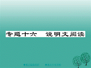 中考语文总复习第3部分现代文阅读专题16说明文阅读课件