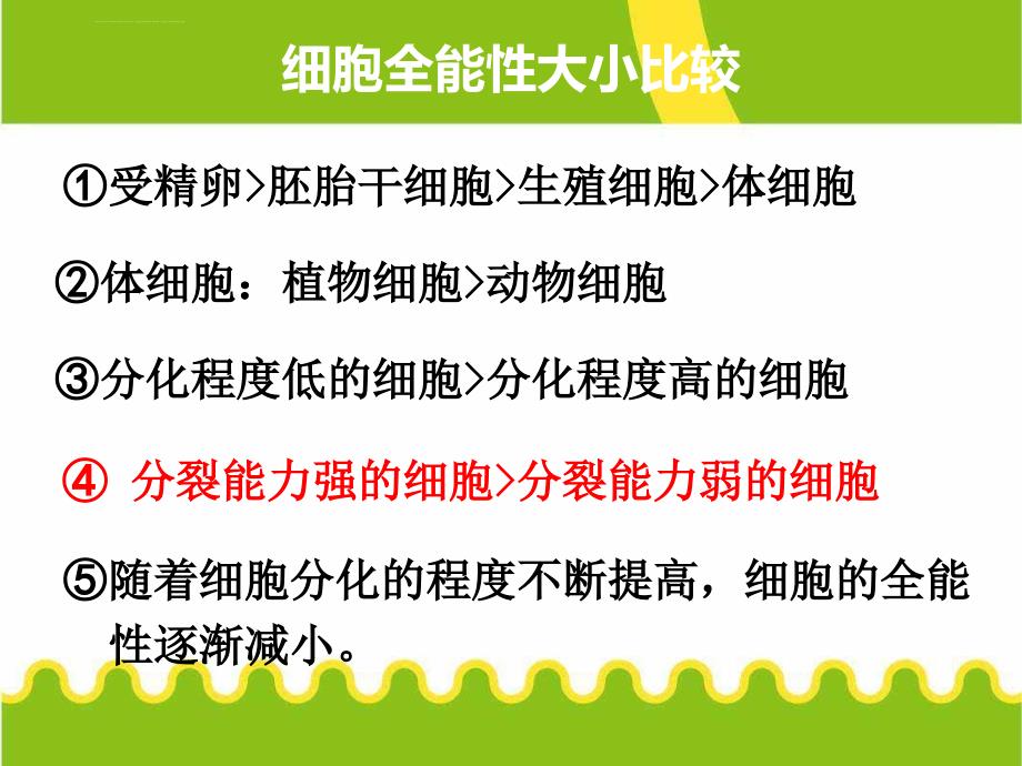 动物细胞工程核移植课件_第4页