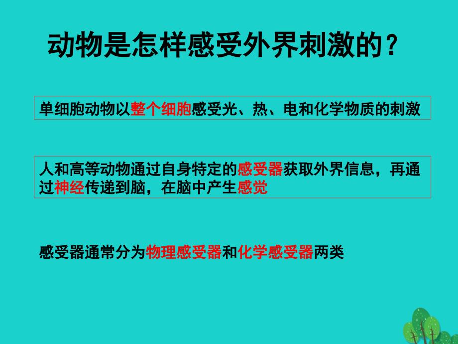 2017高中生物 第二册 第5章 生物体对信息的传递和调节 5.1 动物体对外界信息的获取课件4 沪科版_第2页