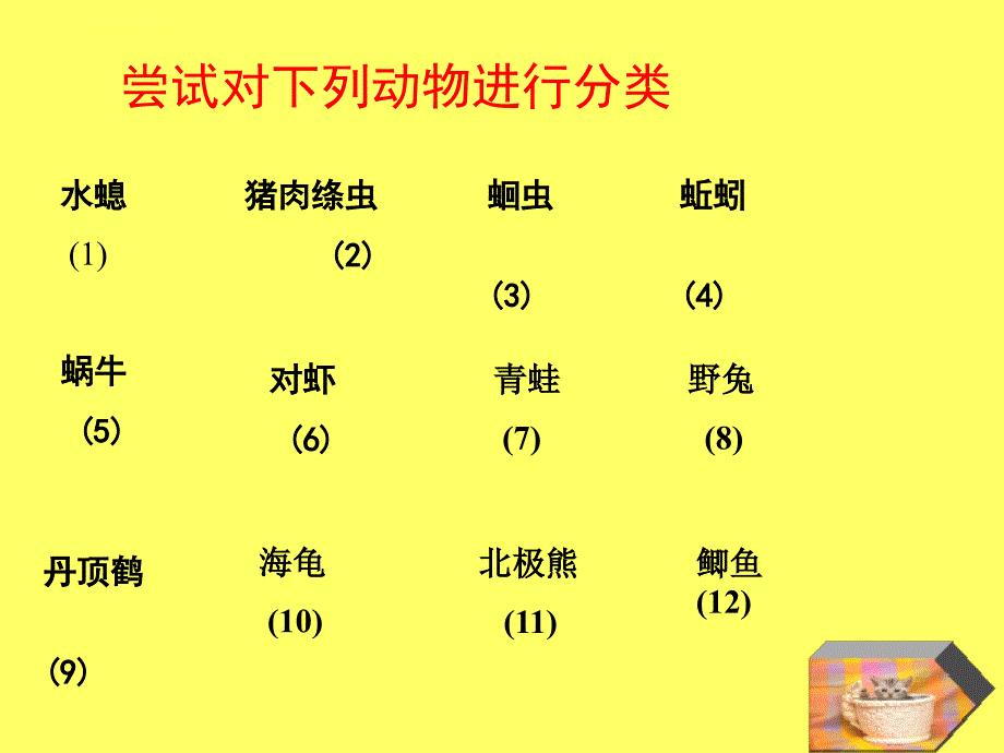 动物主要类群PPT课件_第3页