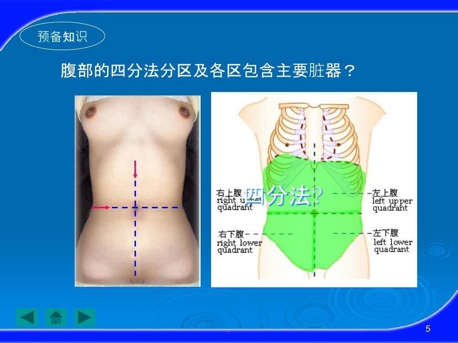 健康评估之腹部评估PPT课件_第5页