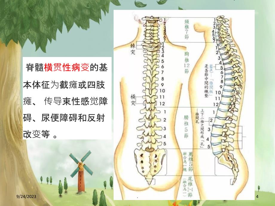 高位截瘫病人的护理PPT课件_第4页