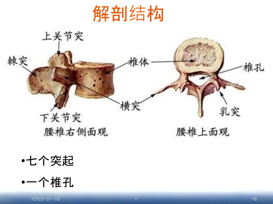 胸腰椎骨折护理_查房PPT课件_第3页