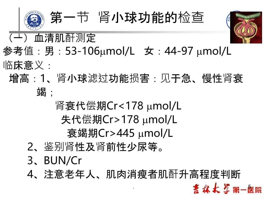 临床医学五年制 实验诊断学PPT课件_第5页