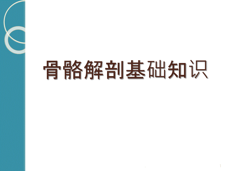 骨骼解剖基础知识PPT课件_第1页