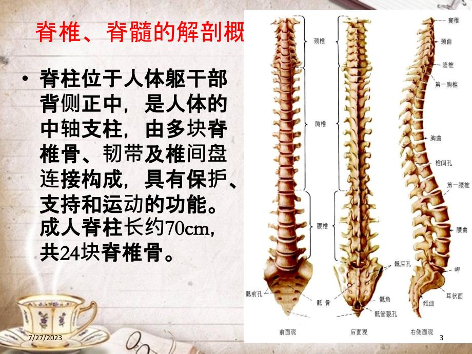 脊椎骨折及脊髓损伤护理PPT课件_第3页