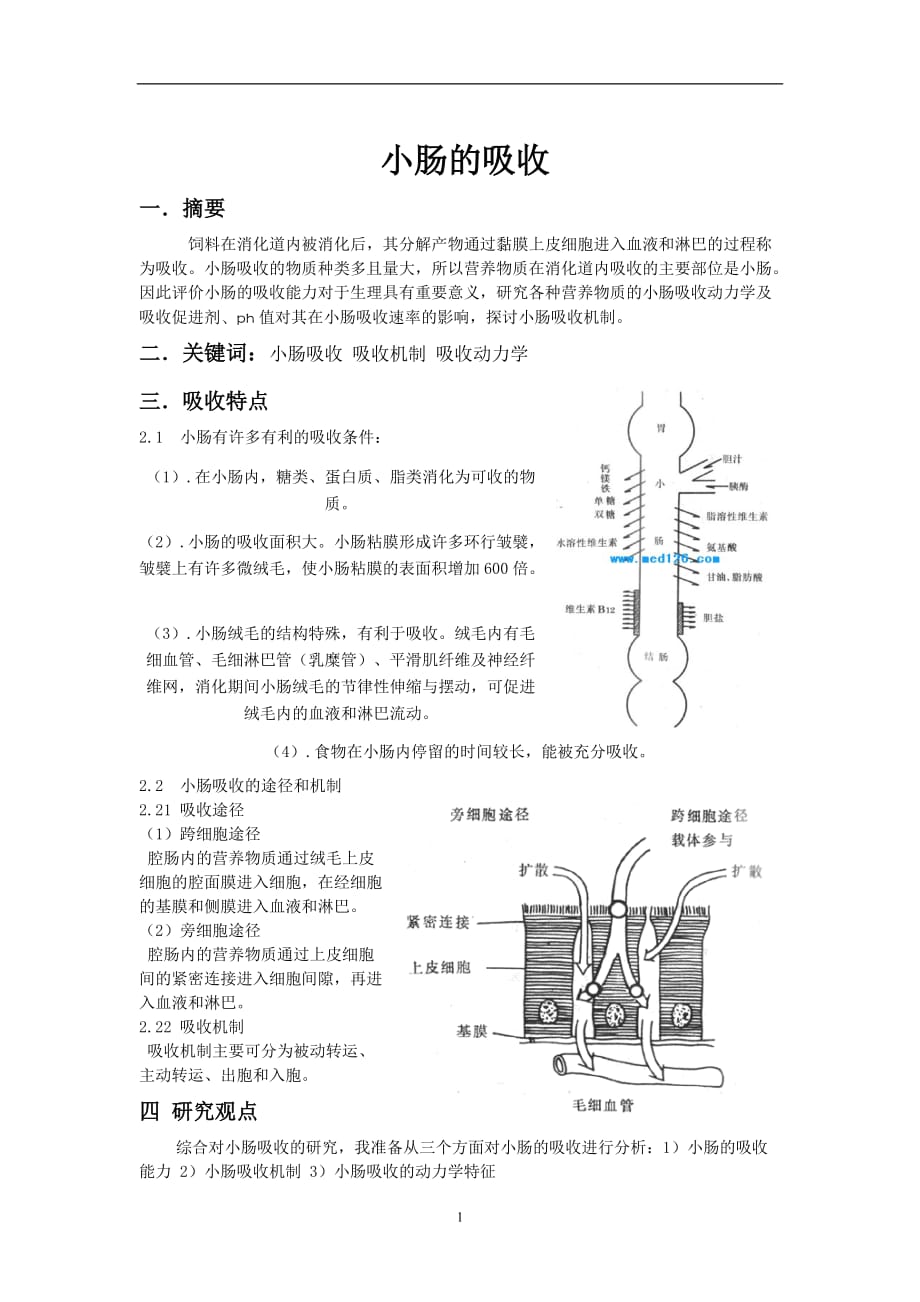 （2020年7月整理）小肠的吸收.doc_第1页