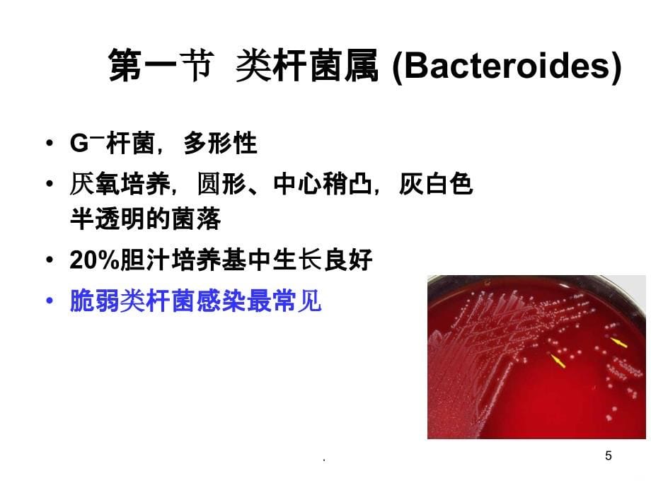 无芽孢厌氧菌PPT课件_第5页