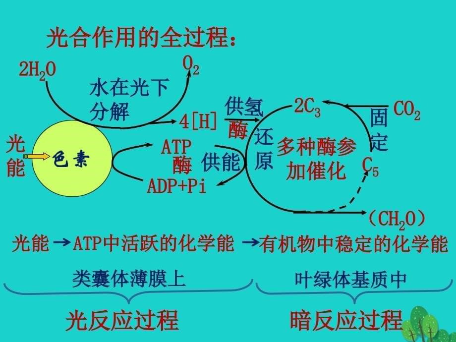 2017高中生物 第五章 生态系统及其稳定性 5.2 生态系统的能量流动课件 新人教版必修3_第5页