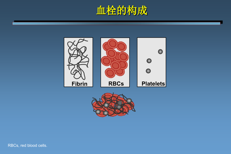 ACS抗凝治疗基础与临床电子教案_第3页