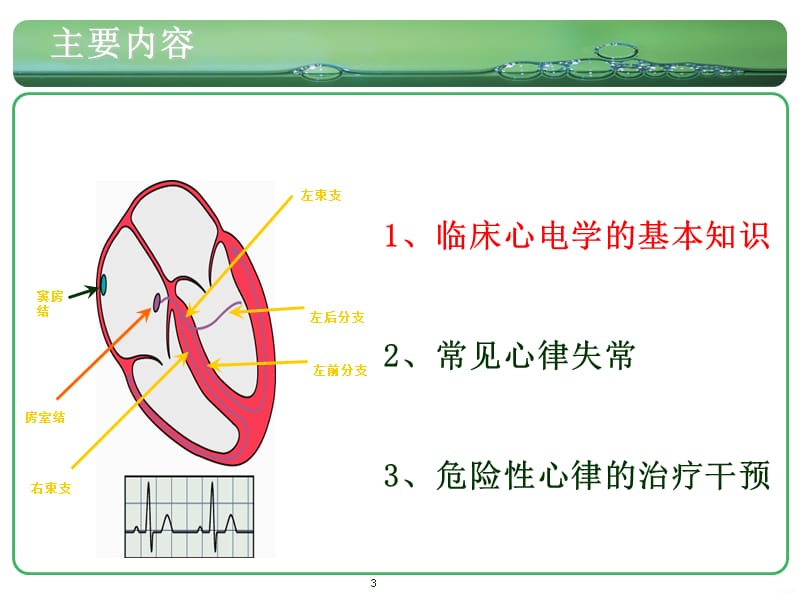 危险性心律PPT课件_第3页