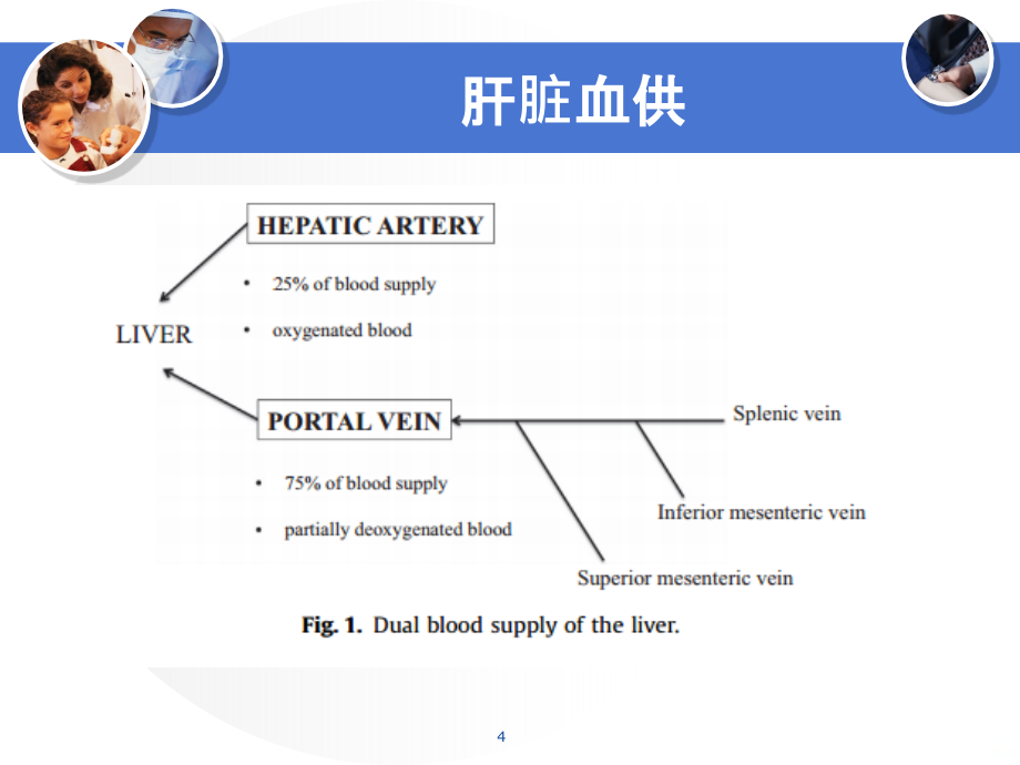 门静脉高压症 swPPT课件_第4页