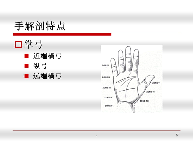 手功能康复(改正)PPT课件_第5页