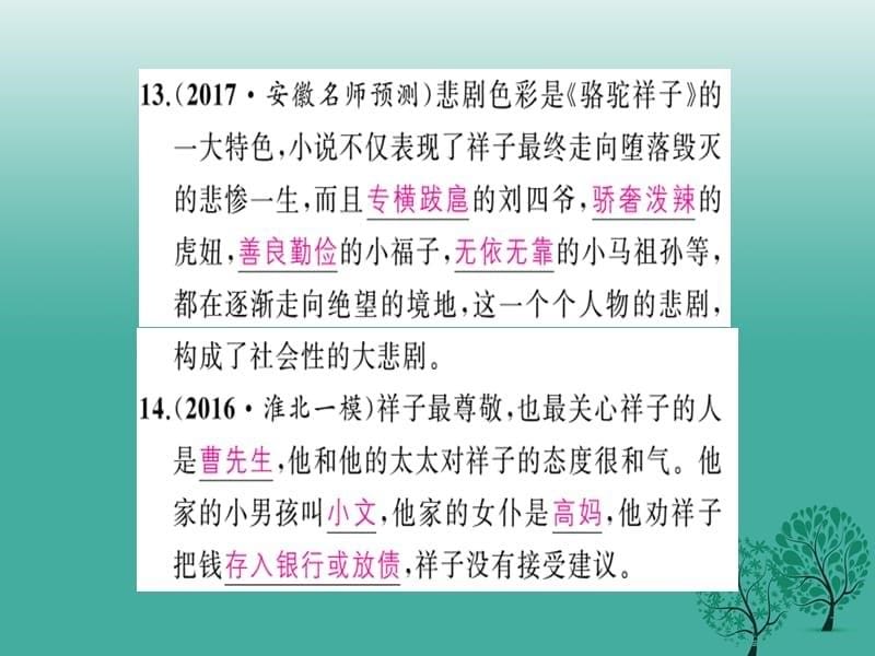 中考语文训练一8部文学名著训练复习课件2_第5页