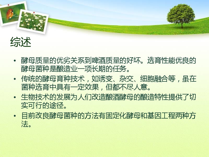 利用生物技术构建优良酵母菌种课件_第3页