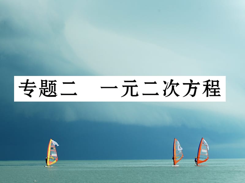 2018春九年级数学下册 专题2 一元二次方程作业课件 （新版）湘教版_第1页