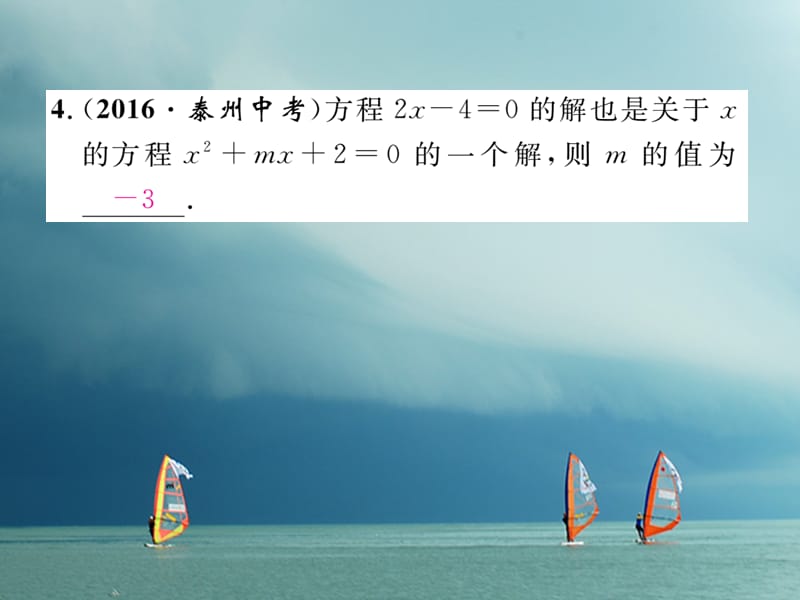 2018春九年级数学下册 专题2 一元二次方程作业课件 （新版）湘教版_第3页