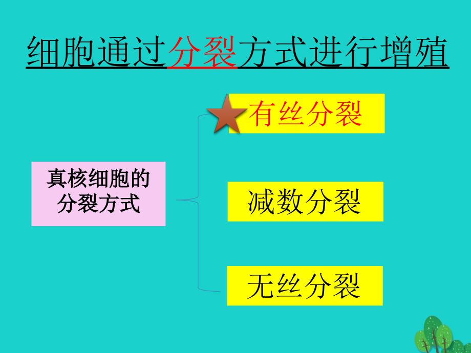 2017高中生物 第二册 第7章 细胞的分裂和分化 7.2 有丝分裂课件1 沪科版_第4页