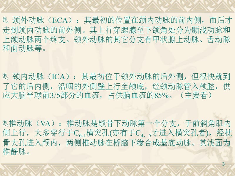 血管超声检查方法PPT课件_第3页