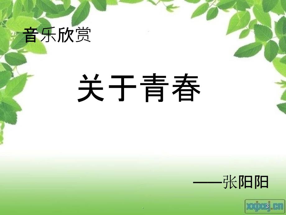 珍惜青春年华 树立伟大理想PPT课件_第3页