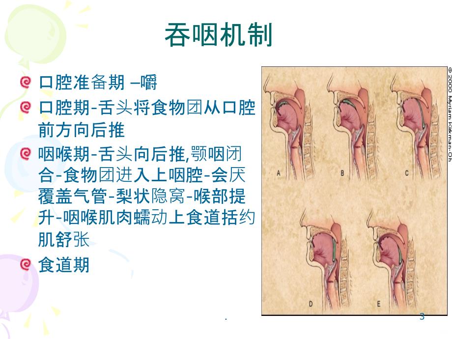 老年患者进食安全护理PPT课件_第3页