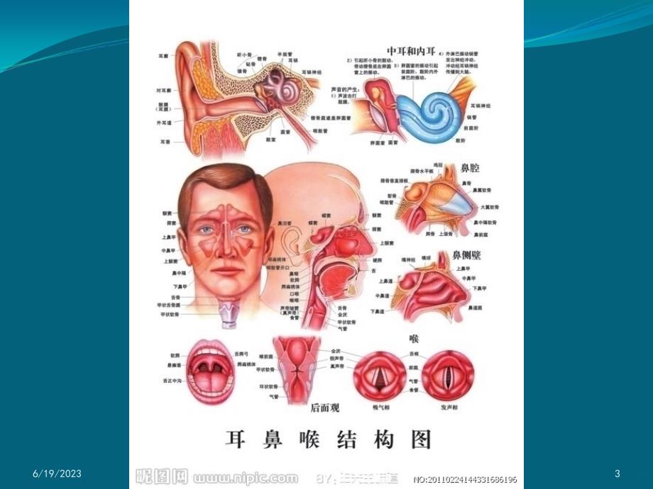 耳鼻咽喉头颈外科发展史分析PPT课件_第3页