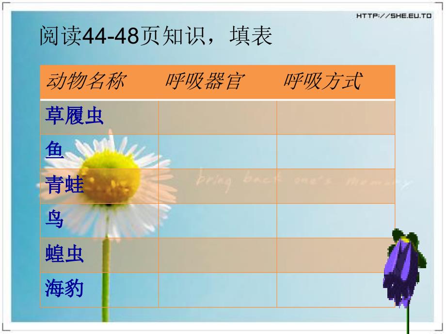 动物的呼吸方式讲课课件_第2页