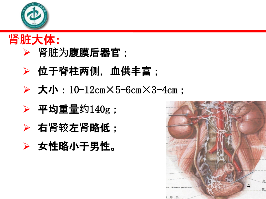 老年慢性肾衰竭大班课PPT课件_第4页