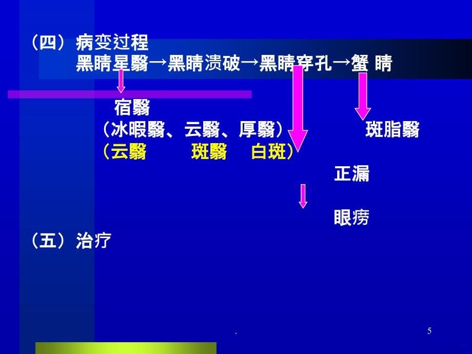 蚕蚀性角膜溃疡的治疗PPT课件_第5页