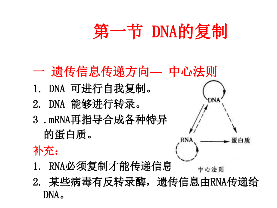 动物遗传学-第三章+遗传信息的传递课件_第2页