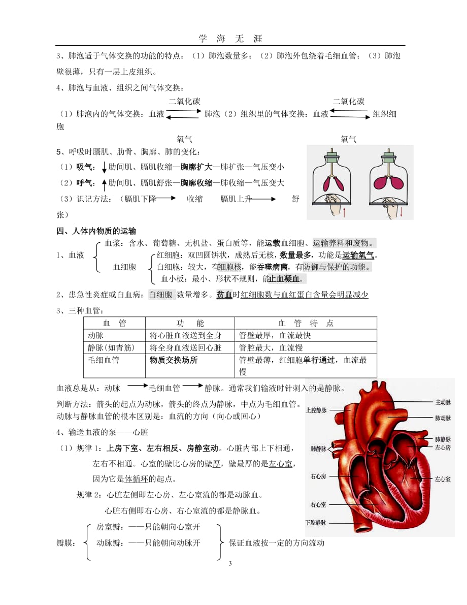 （2020年7月整理）人教版2018七年级生物下册复习提纲.doc_第3页