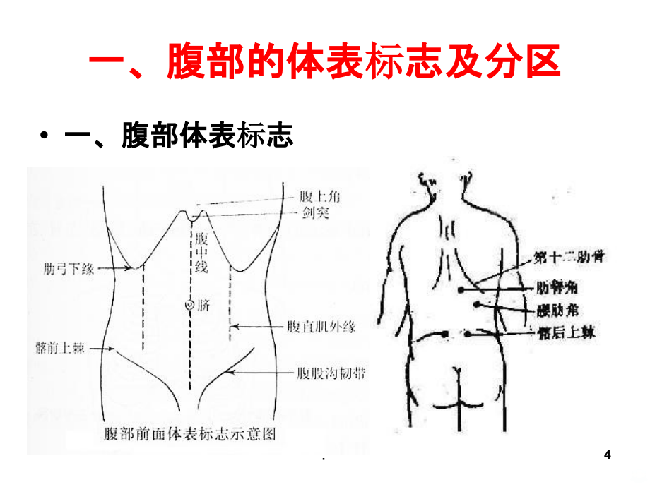 腹部检查13344PPT课件_第3页