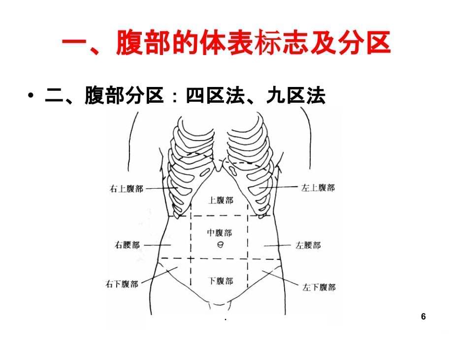 腹部检查13344PPT课件_第5页