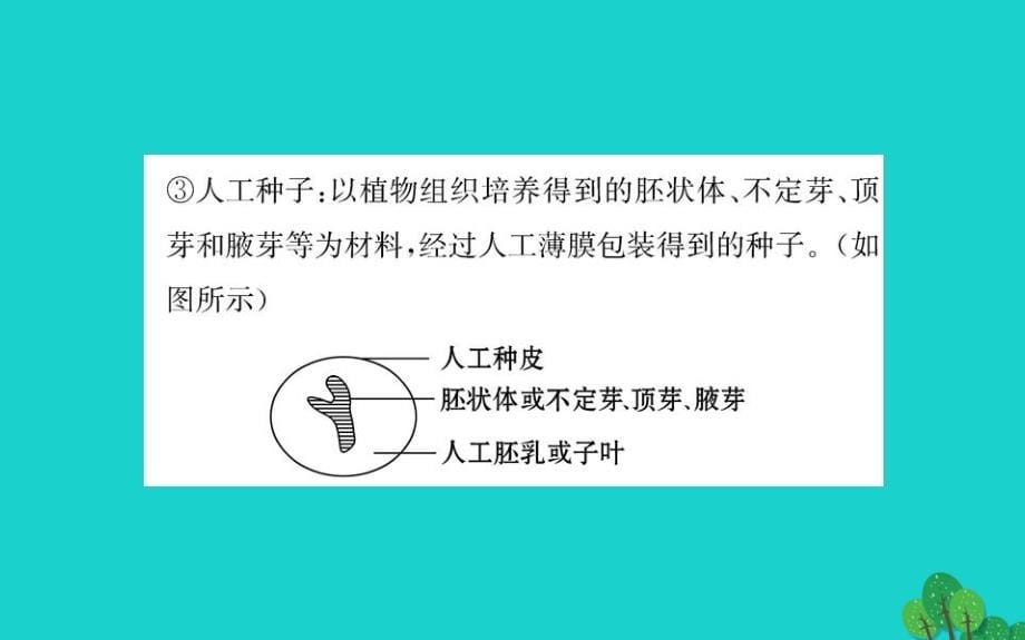 2017高中生物 专题2 细胞工程 阶段复习课课件 新人教版选修3_第5页