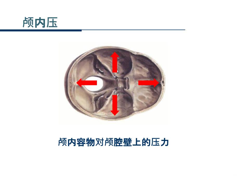 脱水剂的临床应用PPT课件_第4页